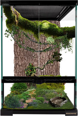 11 Gallon Reptile Glass Tank Vertical Terrarium 12″X12″X18″ Habitat Enclosure wi