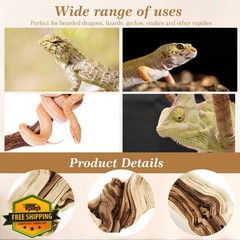 Janinka 14-17″ Wood Reptile Branch