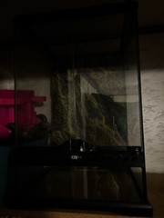Exo Terra PT2601 Nano/Tall Natural Terrarium