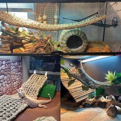 2Pcs Large Bearded Dragon Hammock Lizard Lounger Natural Seagrass Fiber Reptile