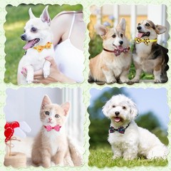 Dog Bow Ties for Small Dog Assorted Pattern Pet Bowtie Collar Grooming Accessory