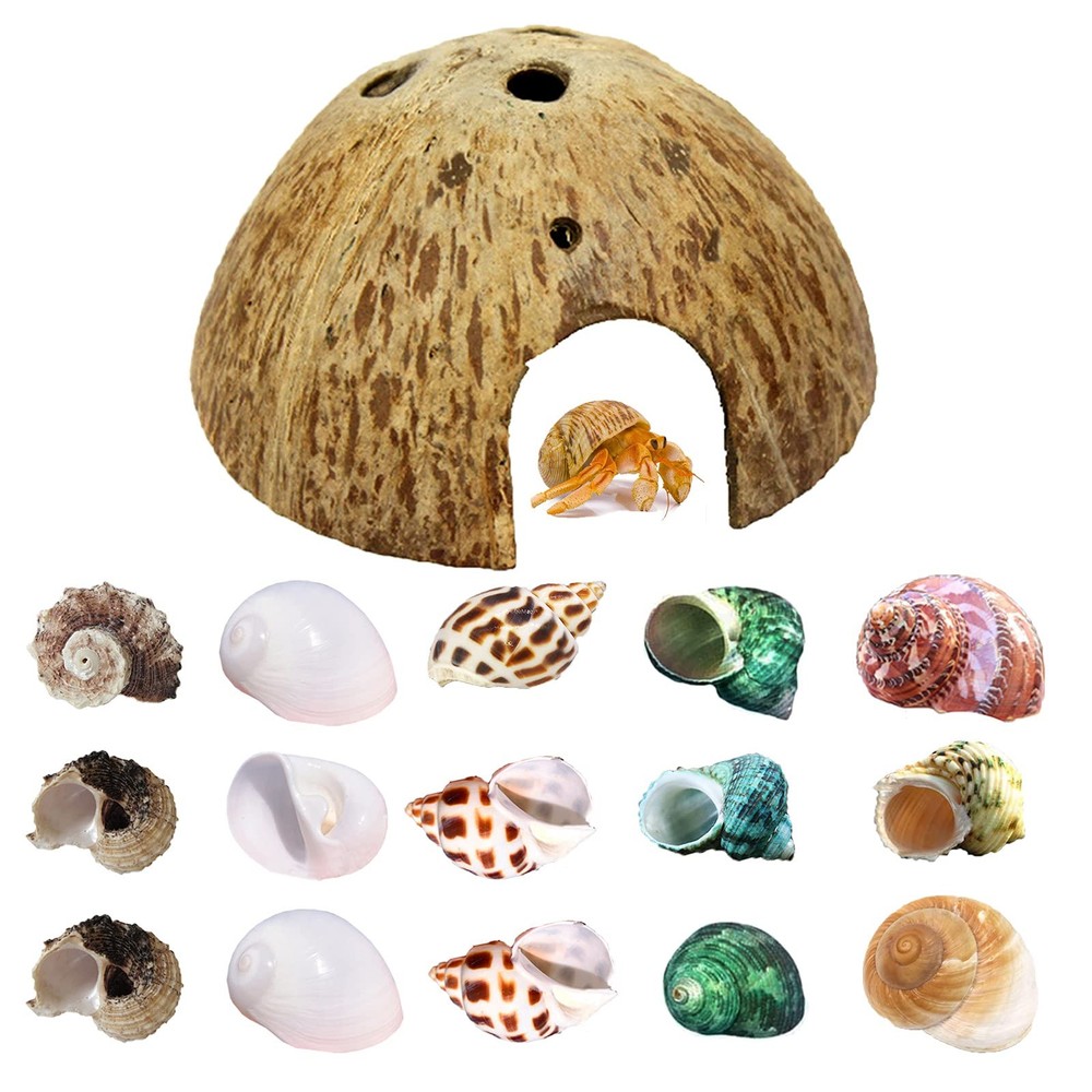 15 PCS Hermit Crab Growth Seashells 7 Types Natural Shells for Fish Tank
