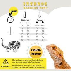 2-Pack 100W Intense Basking Spot UVA Heat Lamp for Reptiles – Long Lasting