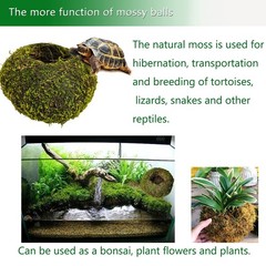 Hamiledyi Reptile Moss Cave Style3
