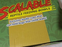 New CHAMELEON FEEDING BOWL Bugs Bar Iron Mesh Hook Hang NEPTONION Reptile Feeder