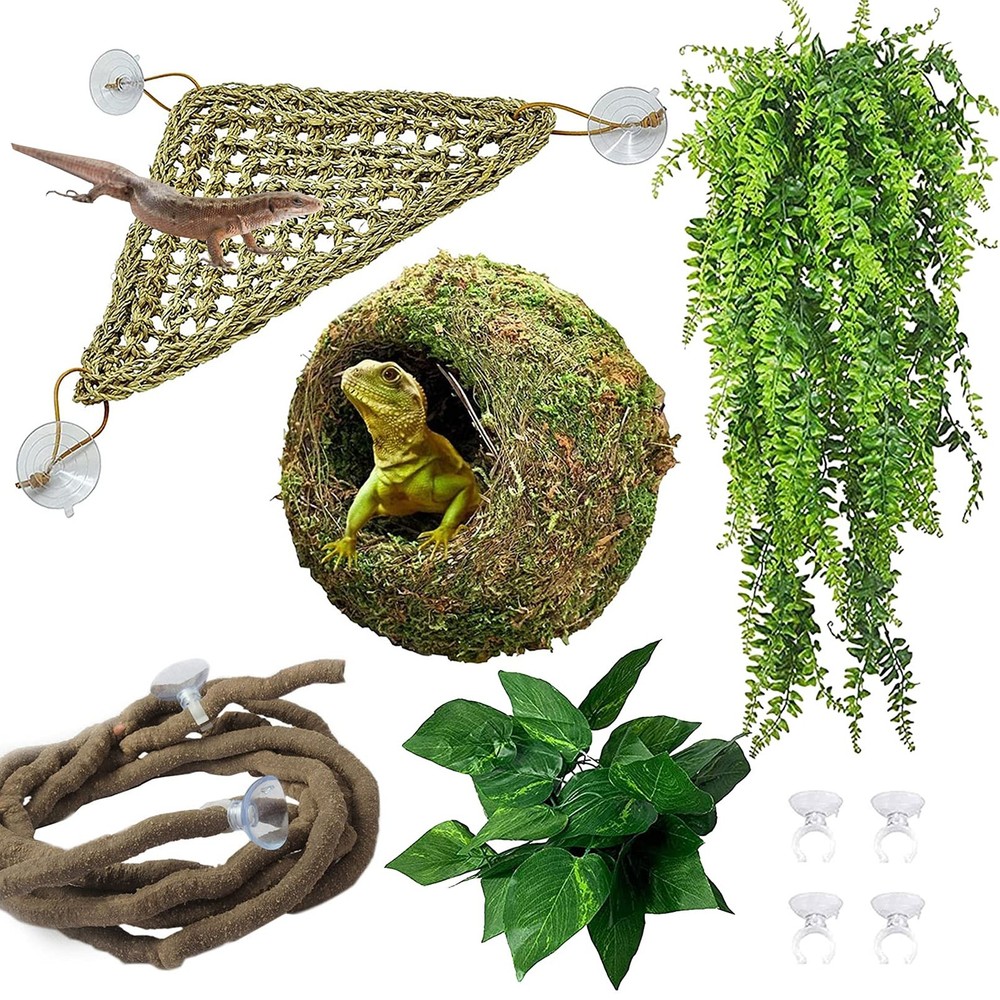 Hamiledyi Reptile Moss Cave Style3