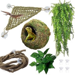 Hamiledyi Reptile Moss Cave Style3