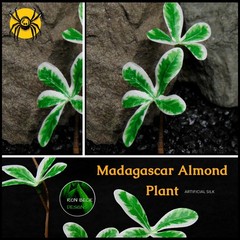 Artificial Silk Madagascar Almond Plant – Jumping Spider Decor – SML