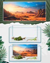 4 Pcs 24 X 11.8 Inch Reptile Habitat Background with Nano Glue Gobi Sun Cactus S