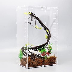 Aiicioo Micro Habitat Terrarium Enclosure 8x6x14 Inches