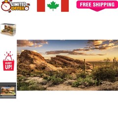 Blue Sky Oasis Cactus Background – 48×24″ Durable Polyester for Aquariums