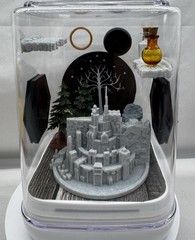 Jumping Spider Terrarium Enclosure – Cute Acrylic Fantasy Adventure Habitat
