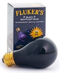 Reptile, Flukers Black Nightlight Incandescent Bulb (75 Watt)