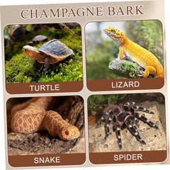 4pcs Cork Bark Reptile Decor Natural Tree Bark Climbing Platforms Reptiles Te…