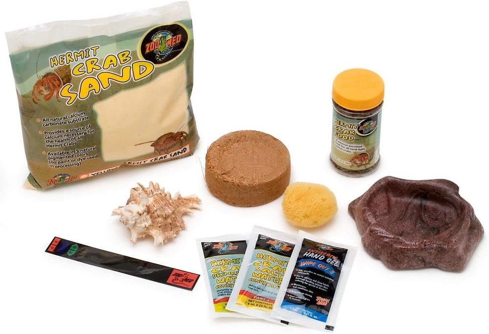 Starter Hermit Crab Kit
