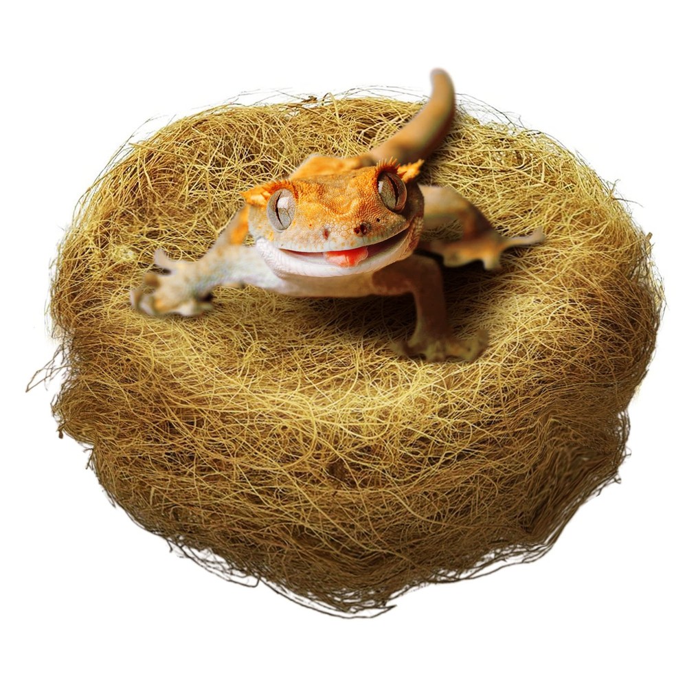 SunGrow Coconut Husk Fiber for Reptile Cave Bedding, [II] Inferred: Brown
