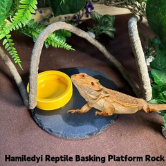 8PCS Bearded Dragon Hammock Reptile Basking Platform Rock Reptile Artificial …