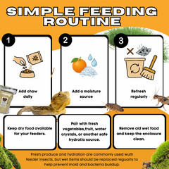TC INSECTS Insect Chow High Protein Food for Dubia Roaches, Crickets & Feeders