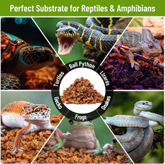 2 Pack Natural Coconut Chip Substrate for Reptiles- Compressed Coconut Husk Rept