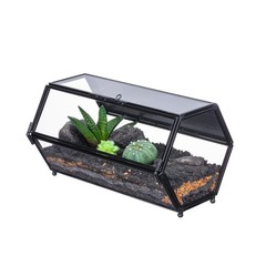 Small Glass Enclosure Terrarium with Mesh & Door for Tiny Beetle – Hexagon Ju…
