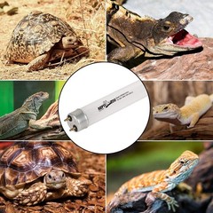 Desert Reptile UVB Lamp – 18-Inch, 15W T8 Lamp for Optimal Calcium Absorption