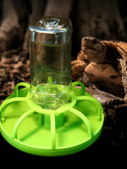 1Pc Crawler Turtle Automatic Water Dispenser Climbing Pet Land Turtle Lizard Pal