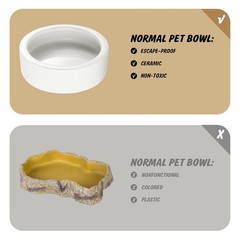 Worm Dish – Large 2 Pcs Reptile Food & Water Bowl for Large-2Pack, White