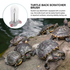 3Pcs White Turtle Shell Cleaning Brush Set with Suction Cups for Turtle Tanks