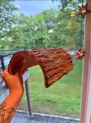 Faux Bark Log Hide Reptile Naturalistic Snake Bearded Dragon Cave Shelter Decor