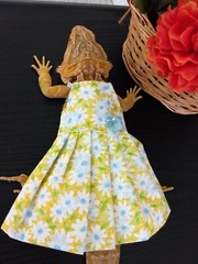 Bearded dragon Yellow Floral Dress MADE IN USA, L, M, S