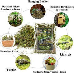 Sphagnum Moss for Reptiles -Terrarium Moss for Reptiles Peat Moss (15.8, Ounces)