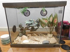 New Deluxe Oceanic Lizard Lounge 16 Amphibian/Reptile Ventilated Aquarium/Tank +
