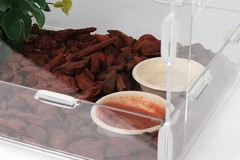100Pcs 1oz Biodegradable Crested Gecko Food Cups fit Reptile Food Dish or Wat…