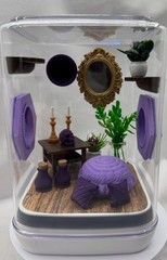 Elegant Jumping Spider Terrarium: Custom 3D Printed Habitat for Arachnids