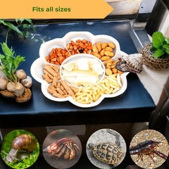 2pcs Hermit Crab Food Bowls with Feeding Tongs and Scooper Set, Hermit Crab F…