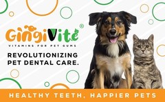 GINGIVITE Dog Teeth Cleaning Gel Vet Approved | Eliminate Plaque, Tartar Bad…