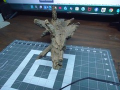 Natural Lightning Struck Tree Stump for Reptile Enclosure/Tank/Aquarium/Atrium