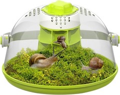 Snail Terrariums Breeding Box, Round Habitat Starter Terrarium Kit, Transpare…