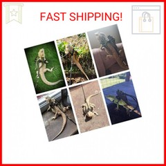 ADOGGYGO Bearded Dragon Lizard Leash Harness – 3 Size Pack Dinosaur Wing Lizard