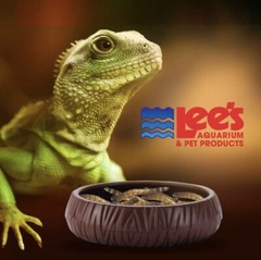 Lee’s Mealworm Bowl – Live Insect Feeder Dish Bearded Dragons, Leopard Geckos