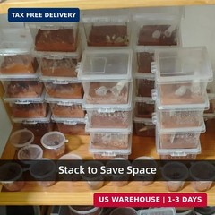 15 PCS Spider Terrariums Breeding Box, Small Insect Hatching Container Plastic F