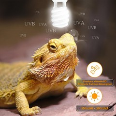 UVA UVB Reptile Light 10.0, Desert UVB 150 Compact Fluorescent Lamp, UVB Ligh…
