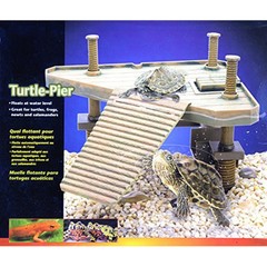 Basking Platform Turtle Pier Platforms Turtles Floating Island Fish