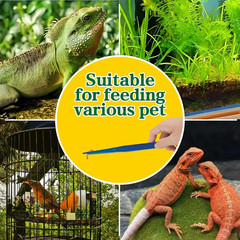 Pinzas alimentacion reptiles 4 pack antideslizantes azules para lagartos y mas