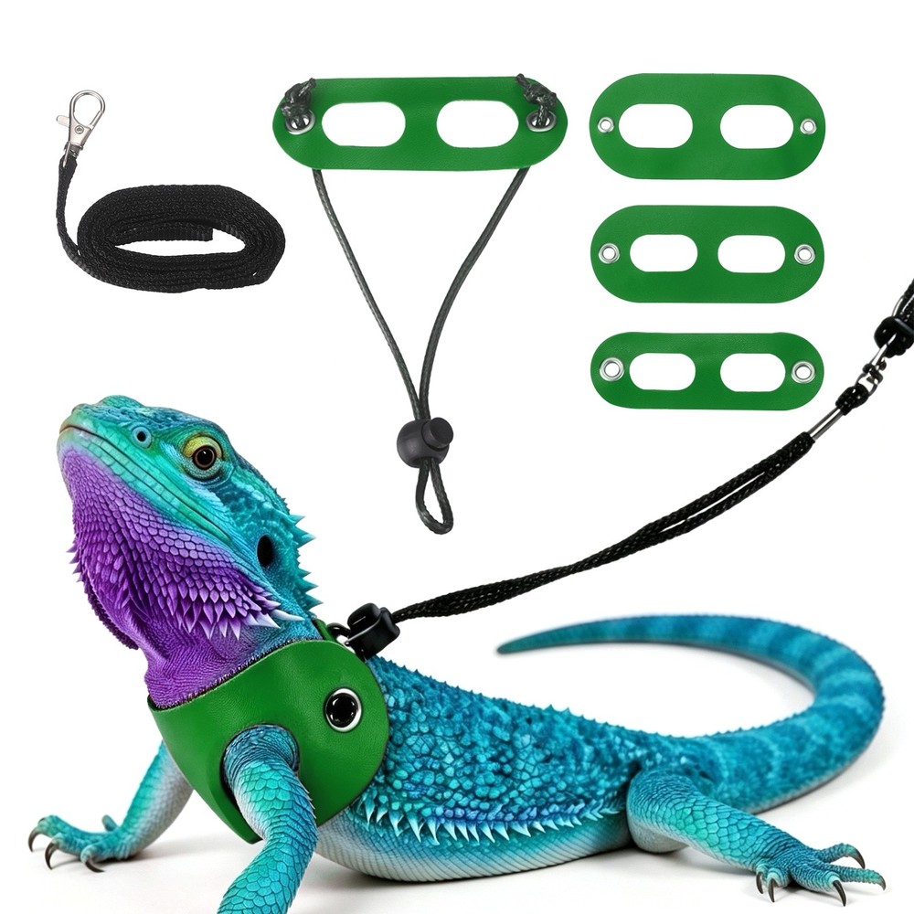 3Pcs Bearded Dragon Lizard Leash Harness Soft Leather S/M/L Green