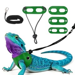 3Pcs Bearded Dragon Lizard Leash Harness Soft Leather S/M/L Green