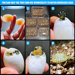 16 Grids Reptile Egg Incubator Box Turtle Lizard Gecko Snake Hatching Container