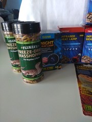 Reptile Lizard Terrarium Supplies