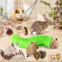 Hamster Toys Set, Guinea Pig Toys Small Animal Chewing Toy and Rat Cage Acces…
