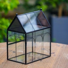 Small Insect Enclosure Vented Glass 4.9″ Black Vintage Home Decor Terrarium